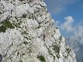 Slika_37