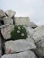 Slika_44
