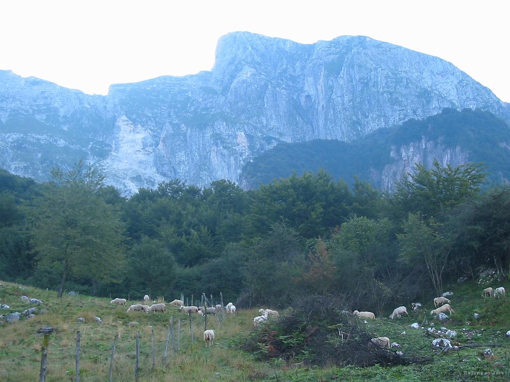 Slika_06.jpg - To slikco bi lahko brez težav izpustil, vendar pa jo je potrebno ohraniti, ker sem na tem mestu Krn slikal tudi ob povratku.
