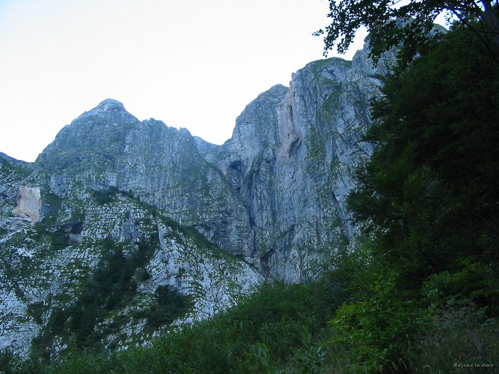 Slika_12.jpg - Še malce imava do stene...hja, prav zoprn sprehod skozi ta gozd.