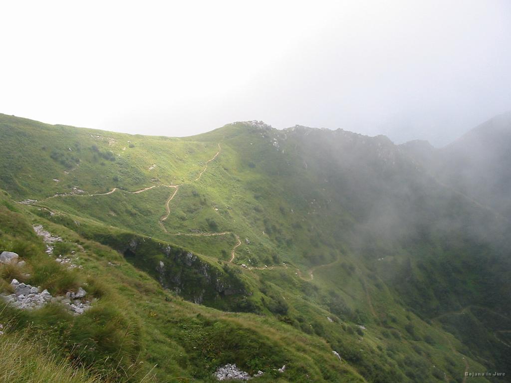 Slika_51.jpg - Križišče za planino Kuhinja in Drežnico.