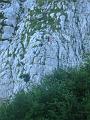 Slika_13