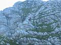 Slika_27