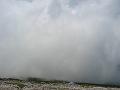 Slika_46