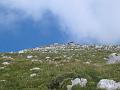 Slika_49