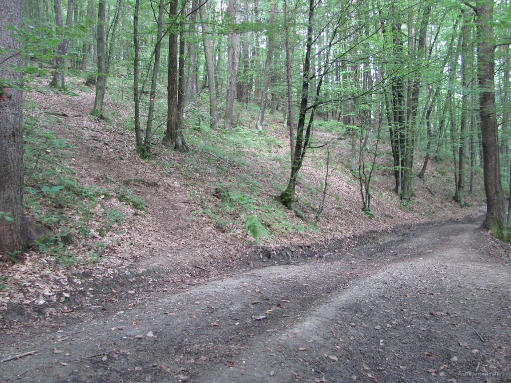 Slika_11.jpg - Brez skrbi, ne moreš se zgubiti.
