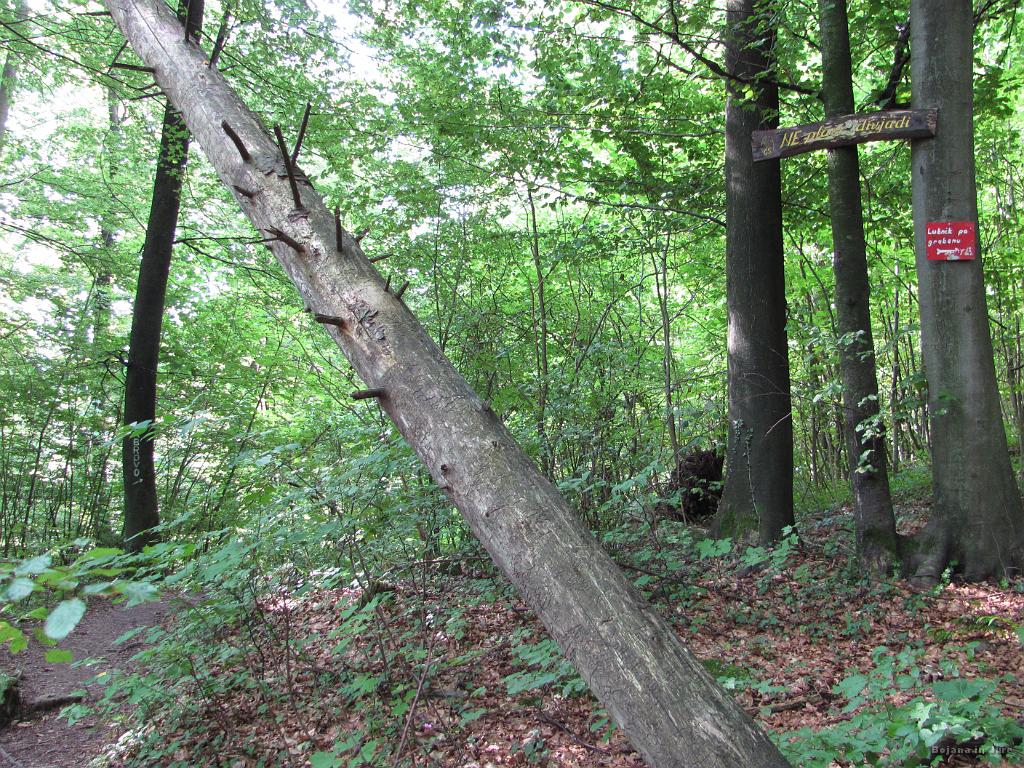 Slika_14.jpg - Križišče, kjer imamo celo tri možnosti. Šel sem skrajno desno, ko pa sem šel nazaj sem prišel nazaj do tega križišča po poti iz Gabrovega, vendar sem se obrnil in šel drugje.