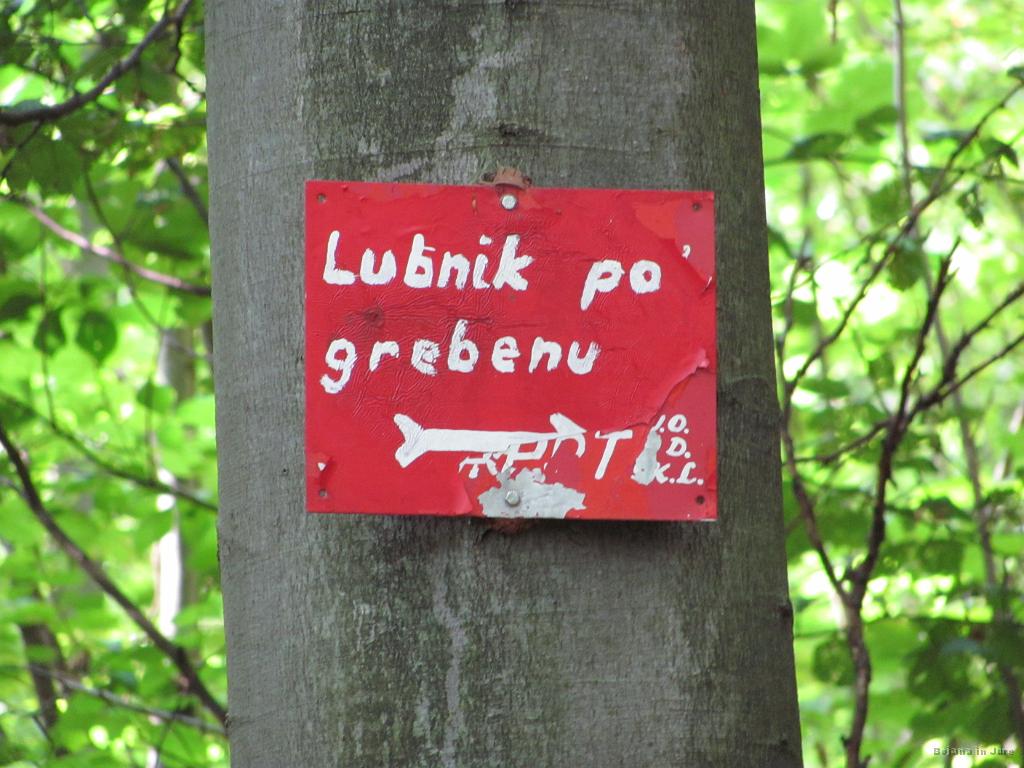Slika_15.jpg - Po grebenu...