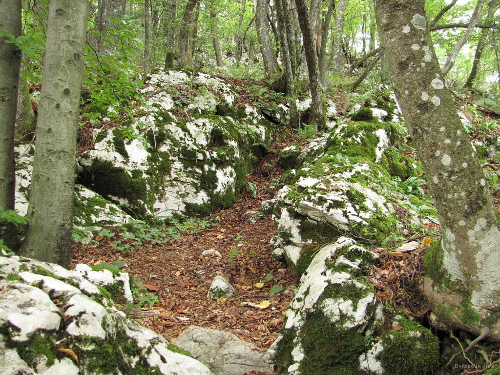 Slika_19.jpg - Del poti gre kar po skalah.