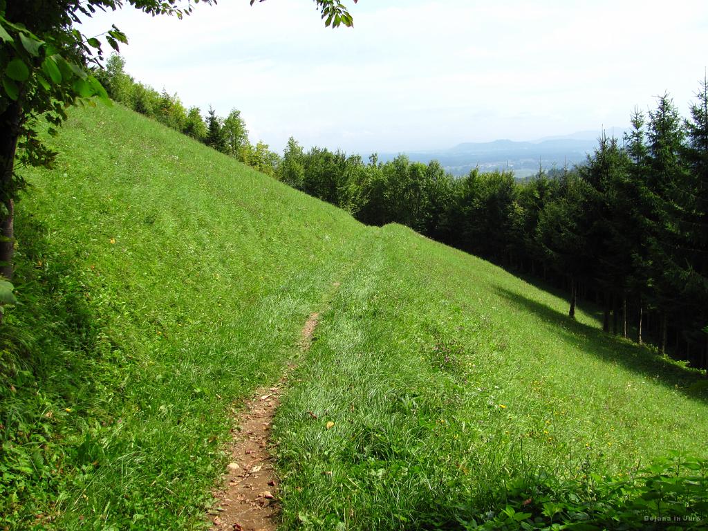 Slika_30.jpg - Prečkanje lepe jase.