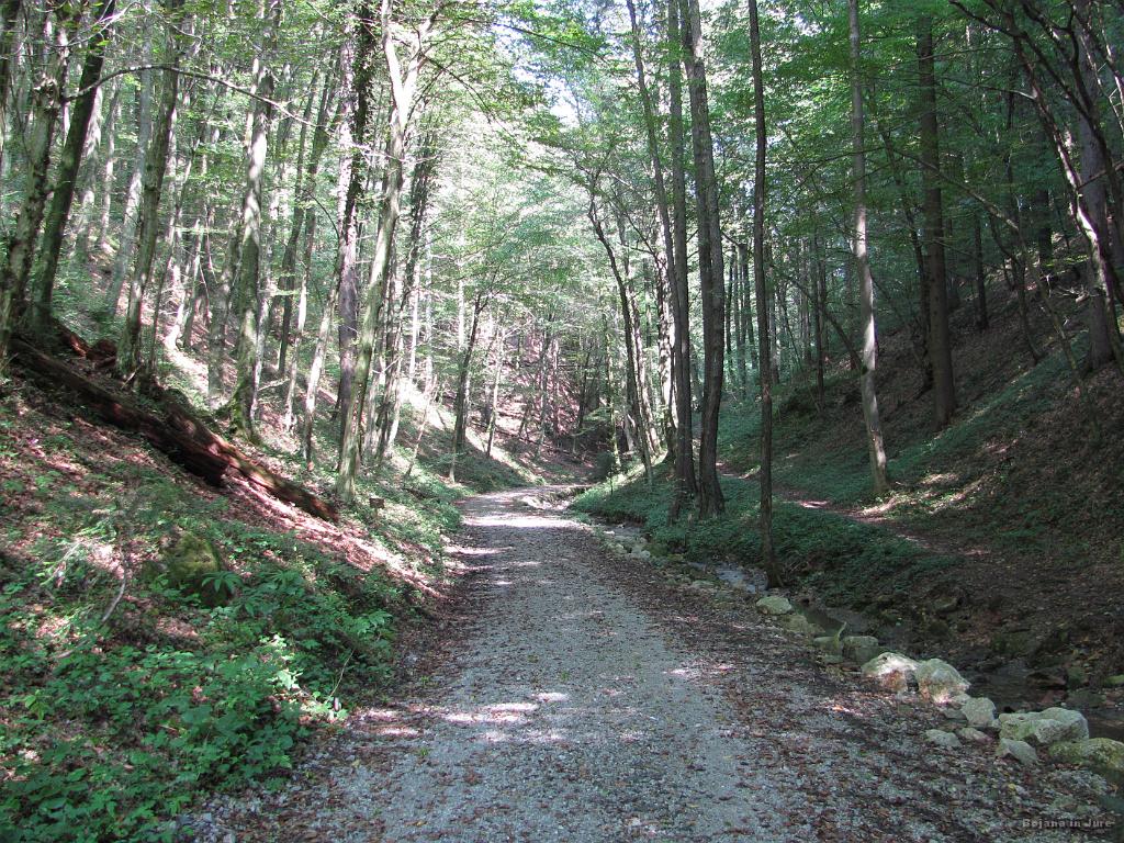 Slika_35.jpg - Loška Učna Pot.