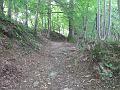 Slika_07