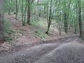 Slika_11