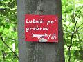 Slika_15