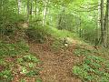 Slika_16
