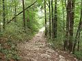 Slika_27
