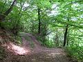Slika_29