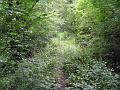 Slika_32