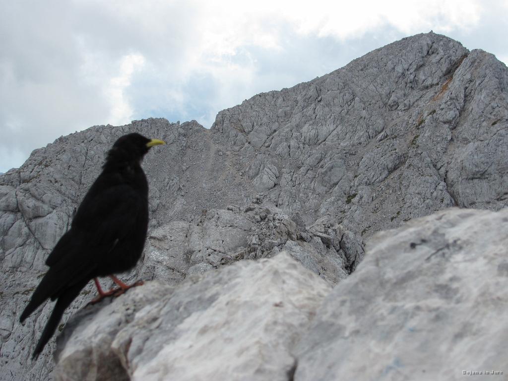 Slika_71.jpg - Kavka in Kranjska Rinka (2453 m).