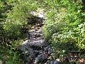 Slika_06