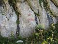 Slika_09