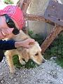 Slika_14