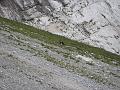 Slika_81