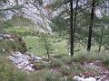 Slika_82