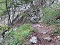 Slika_83