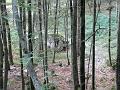 Slika_84