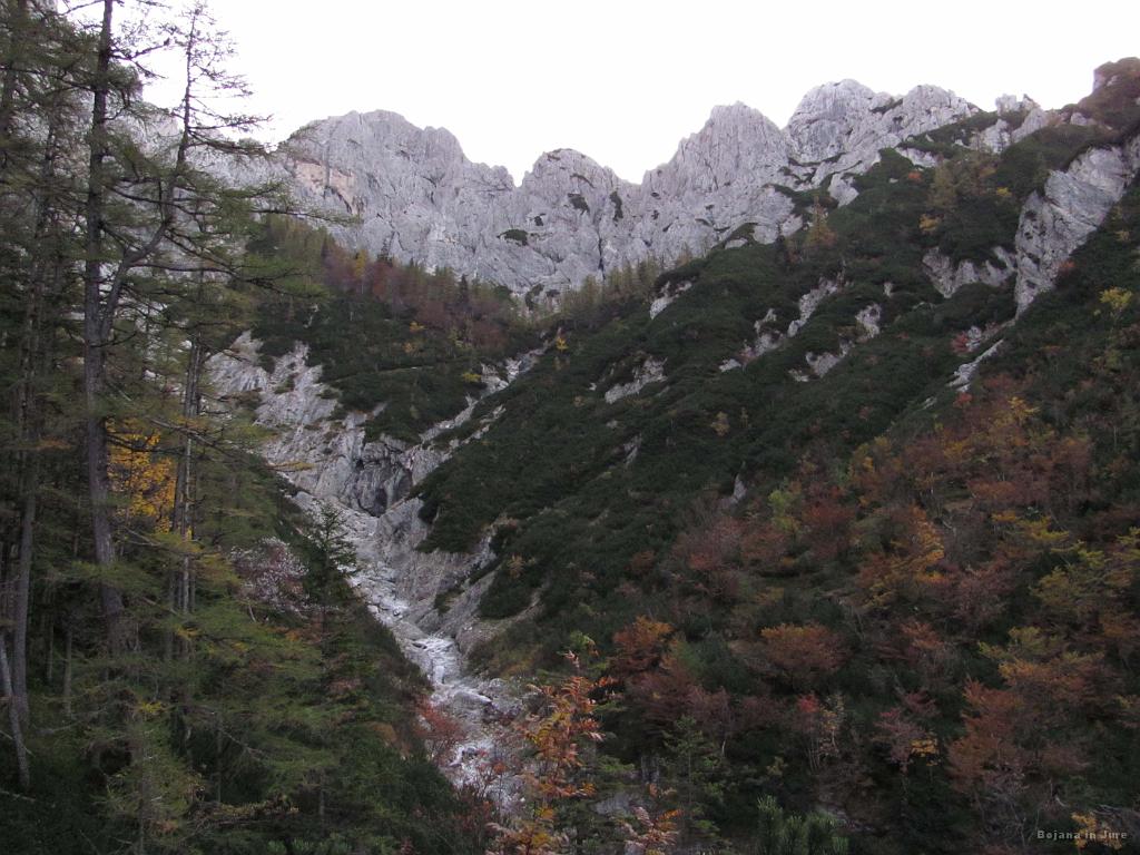Slika_09.jpg - Zeleniške špice.