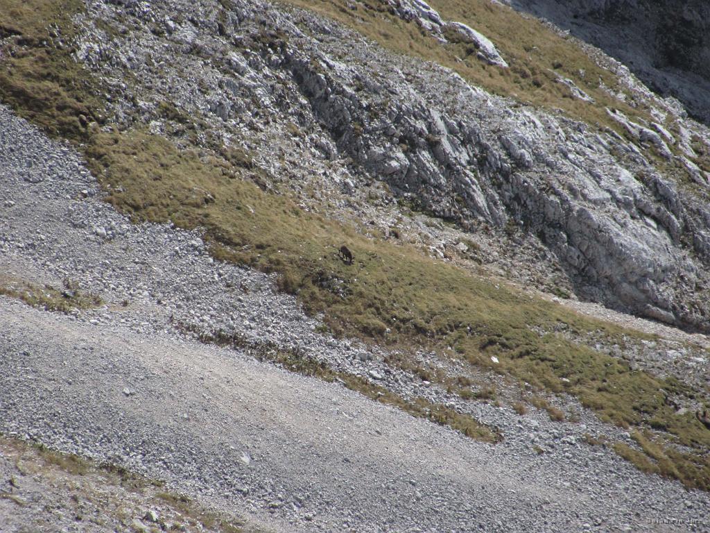 Slika_66.jpg - Dober tek!