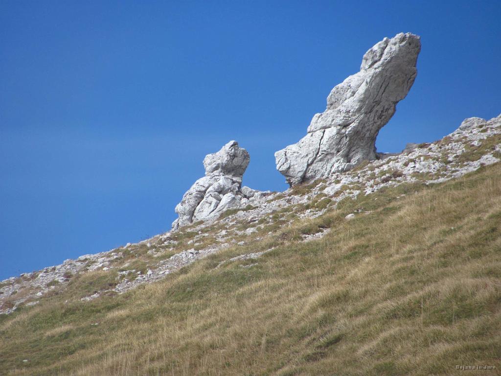 Slika_78.jpg - Narava pa resnično ima ideje.