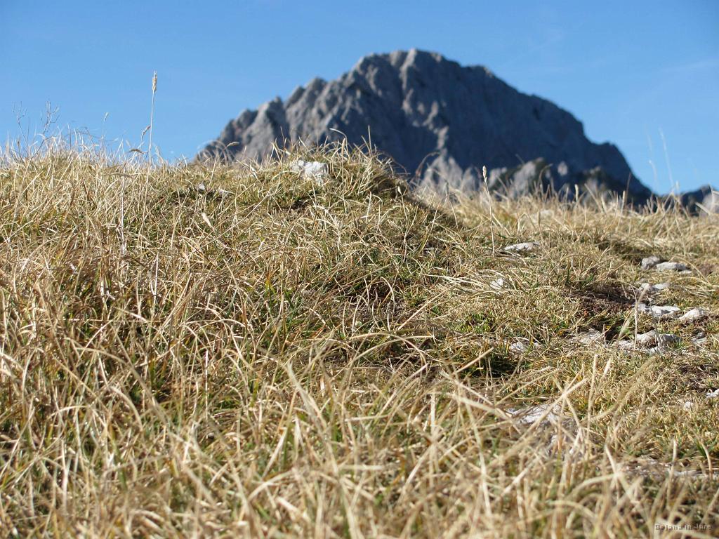 Slika_84.jpg - Utrinek.