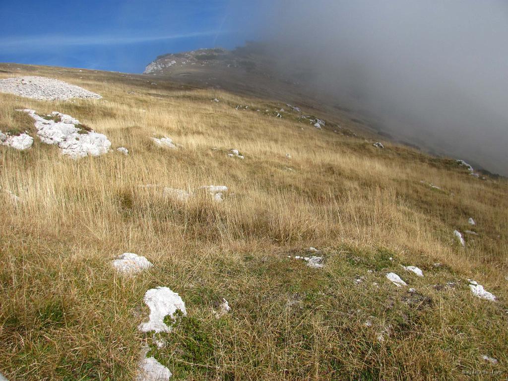 Slika_85.jpg - Utrinek.