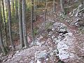Slika_03