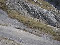 Slika_66