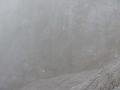 Slika_75