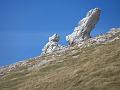Slika_78
