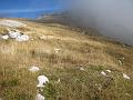 Slika_85