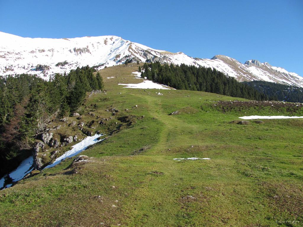 Slika_06.jpg - Pri domu se nisva nič zaustavila...ja, spomladi sem tu prav veselo smučal, sedaj pa je bolj primerno za pašo :)