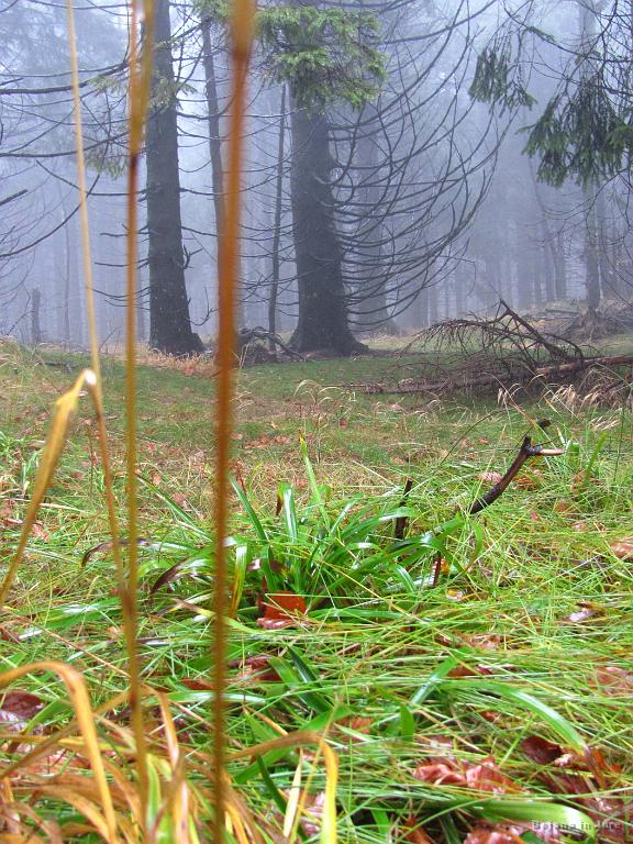 Slika_05.jpg - Žive barve so nas navdušile.