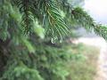 Slika_04