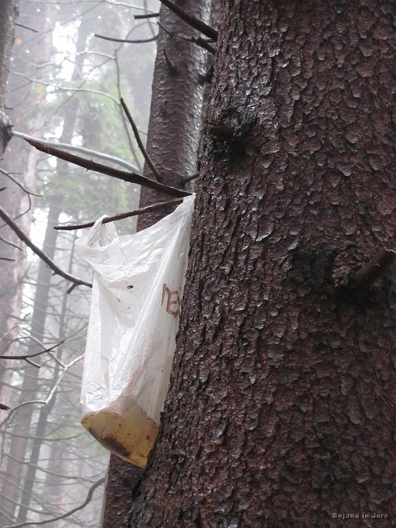 Slika_10.jpg - Na Bojaninem rukzaku je že bilo kar nekaj smeti in ravno, ko sem ji rekel, da bi bilo fajn dobiti kakšno vrečko, doživiš tole. Ker nisva vedela za kaj je ta vrečka na drevesu, sva jo pustila.