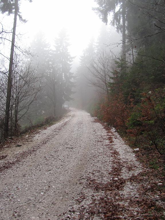Slika_19.jpg - Cesta, ki nas vodi del poti od Bistriške planine do Lešanske planine.