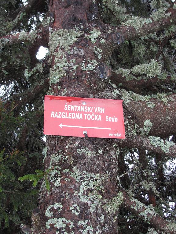 Slika_36.jpg - Nagradno vprašanje. Sva šla do razgledne točke? Ma kje pa, saj itak ni bilo razgleda.