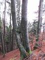 Slika_06