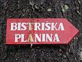 Slika_15