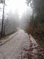 Slika_19