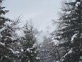 Slika_34